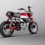 Akrapovic Slip-On Line (Titanium) Monkey 125 2019-