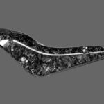 Akrapovic Heat shield (Carbon) P-HSY10SO6 MT10 2022-