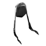 Highway Hawk sissybar wide model complete