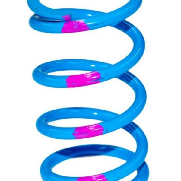 SLP High Performance Drive Clutch Spring Blue/Pink 140/340