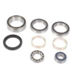 ALL-BALLS Bearing & seal kit Arctic Cat