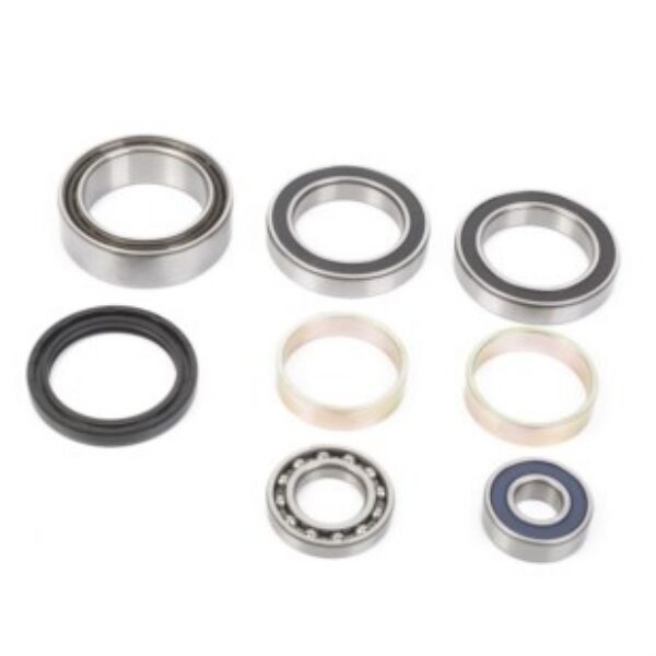 ALL-BALLS Bearing & seal kit Arctic Cat