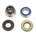 ALL-BALLS Bearing & seal kit BRP