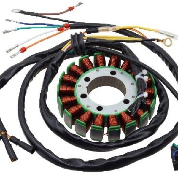Bronco Stator Polaris