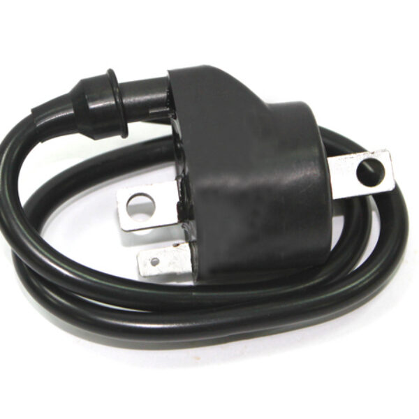 Bronco Igntion coil Polaris