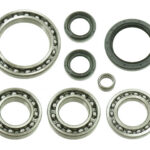 Bronco Differential Bearing & Seal Kit