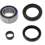 Bronco bearing & sealkit