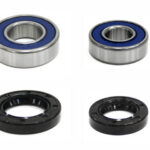 Bronco bearing & sealkit