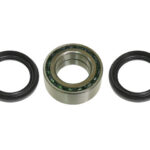 Bronco bearing & sealkit