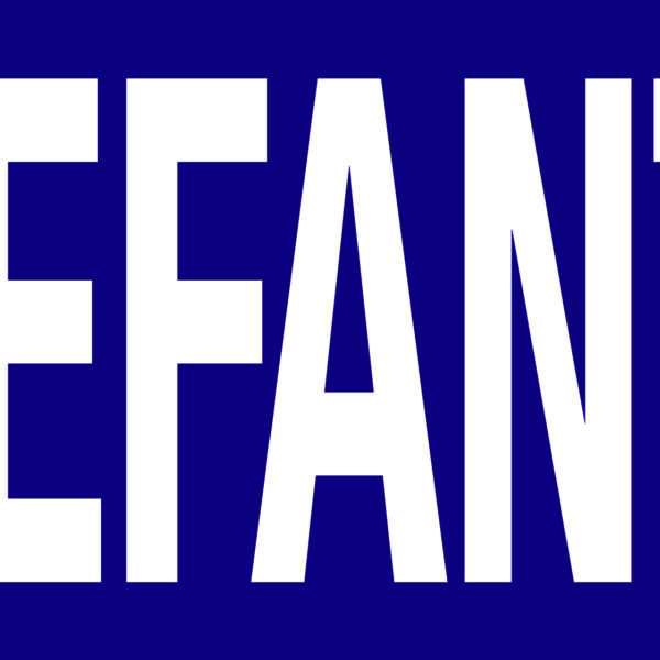 Lefant T-Coat Pigment white