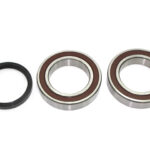 Sno-X Chain case bearing kit Ski-Doo