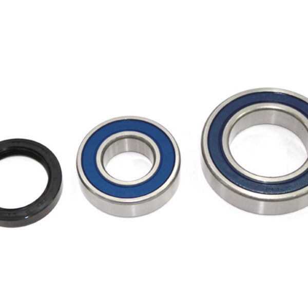 Sno-X Chain case bearing kit Ski-Doo