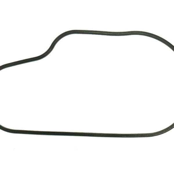 Sno-X Chain case gasket Polaris
