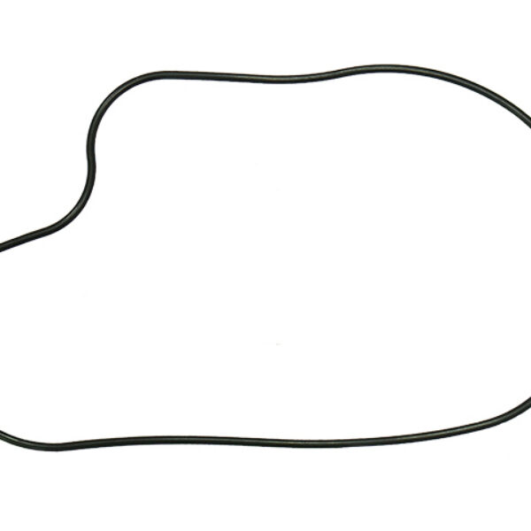 Sno-X Chain case gasket Polaris
