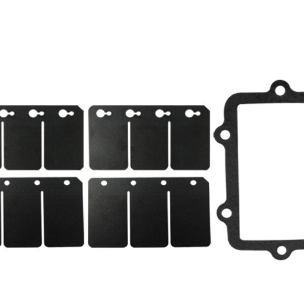 Sno-X Reed valve repair kit Ski-Doo