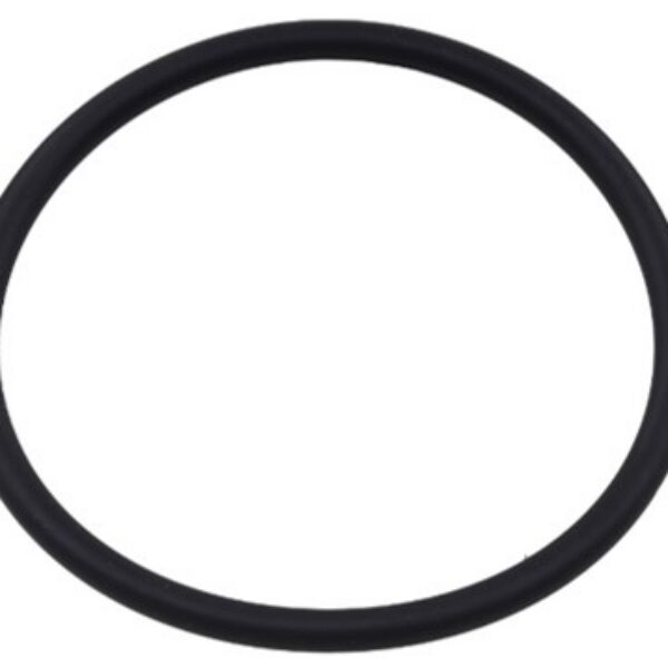 Sno-X Fuel pump seal Ski-Doo/Lynx