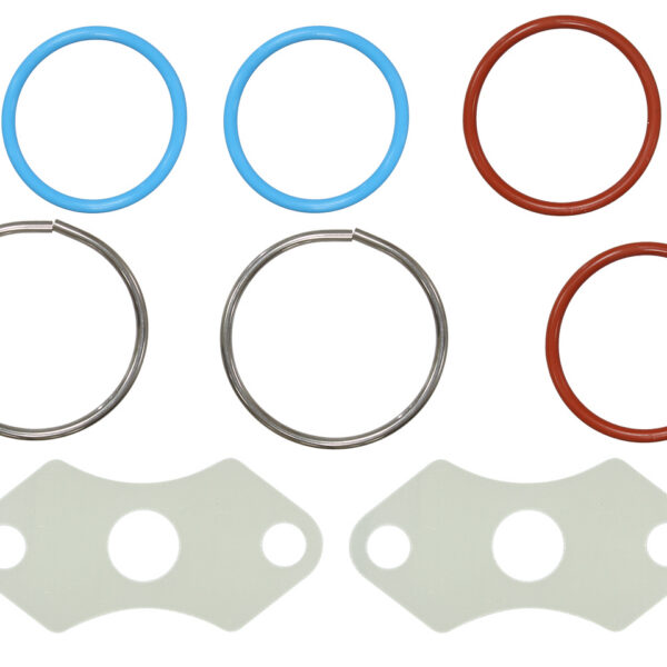 Sno-X Injector seal kit BRP 600/800E-Tec