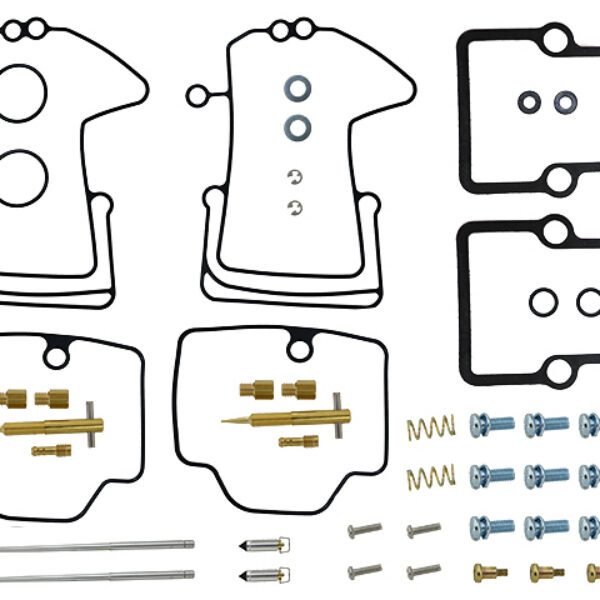 Sno-X Carburetor repair kit Ski-Doo