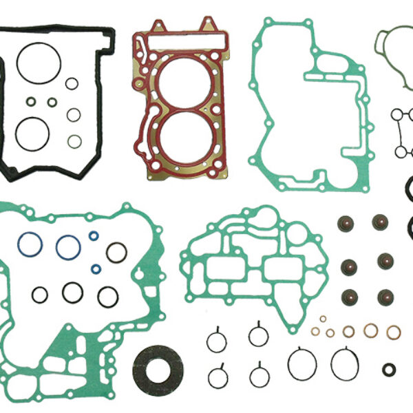 Sno-X Full Gasket Set With Oil Seals BRP 600 ACE