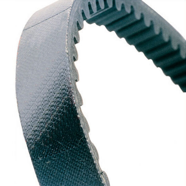 Dayco Drivebelt Linhai 260.300