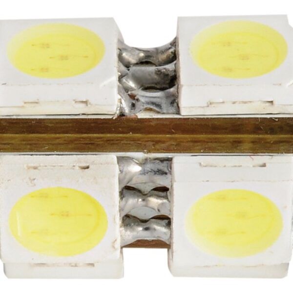 Festoon LED 1.4W