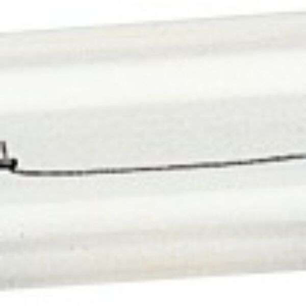 Festoon 12V 15W