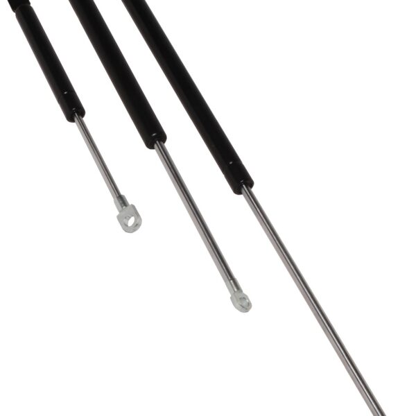 Osculati Gas Spring SS 600mm 20kg