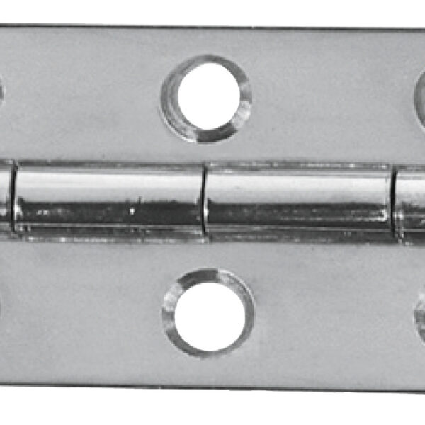 S.S hinge 60x30 mm
