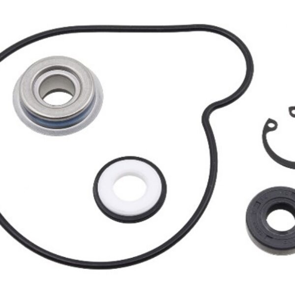 Sno-X Water pump repair kit Arctic Cat 800/900