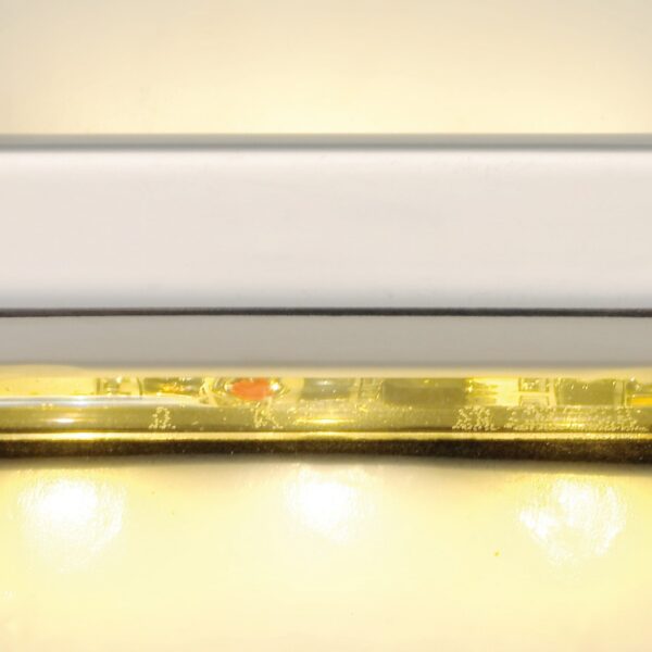 LED courtesy light w/4 + 4 white LEDs