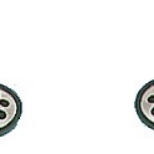 Geiser repair kit