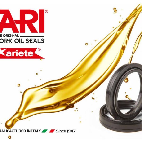 ARI Dust seal 50 x 63.4 x 4.6/14