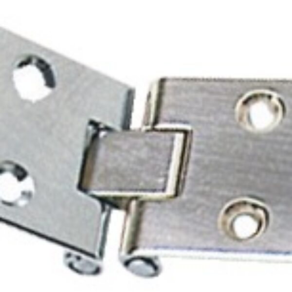 flush S.S hinge 80x30