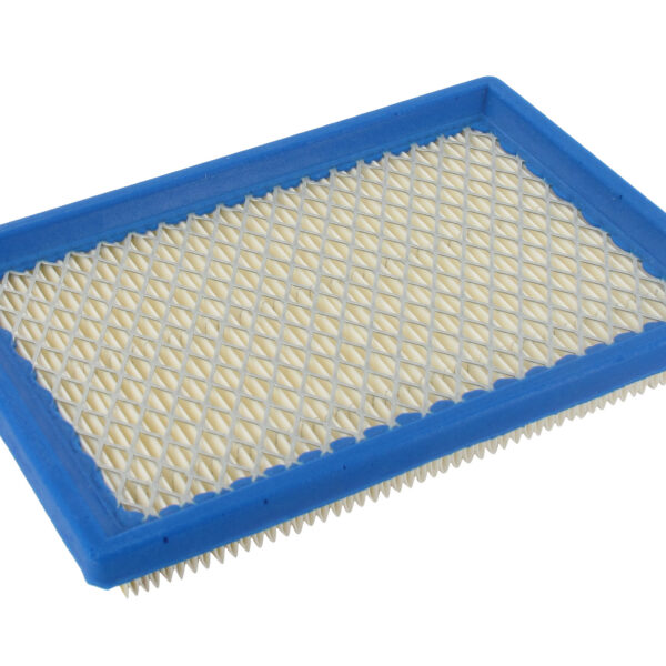 Eurogarden Air filter B&S MAX 3.5-4hp