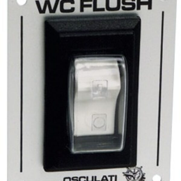 toilet flush switch