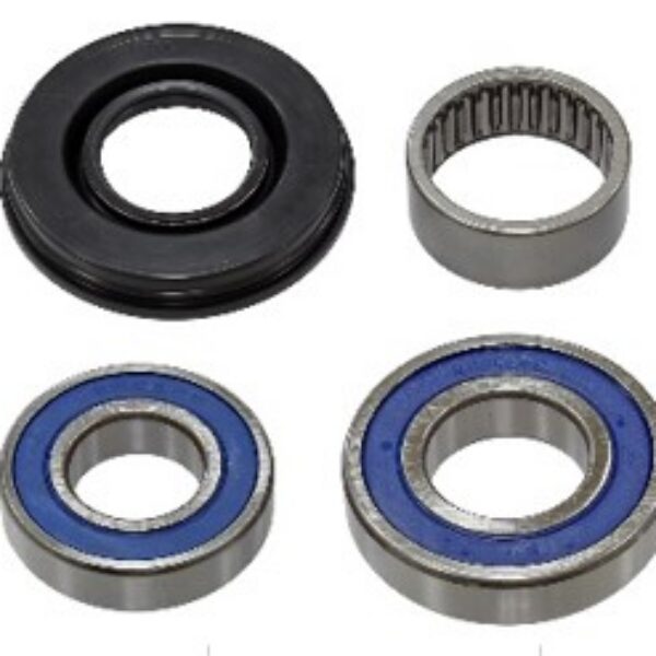Sno-X Chain case bearing kit Ski-Doo