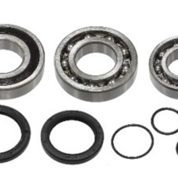 Sno-X Chain case bearing kit