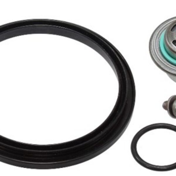 Sno-X Fuel pressure regulator Ski-Doo