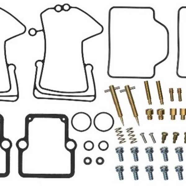 Sno-X Carburetor repair kit Polaris