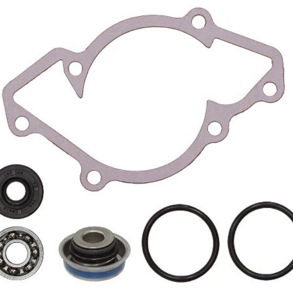 Sno-X Water pump repair kit Ski-Doo