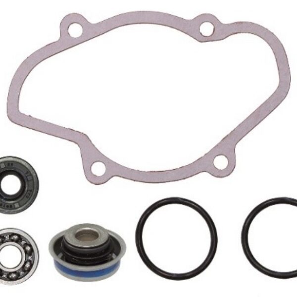 Sno-X Water pump repair kit Ski-Doo 800 Ptek/Etec