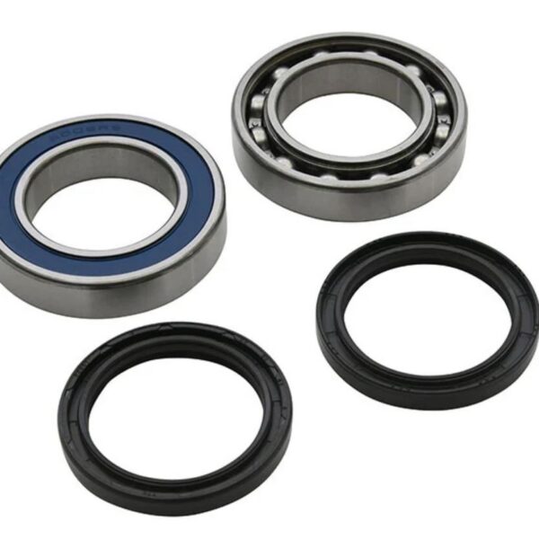 ALL-BALLS Bearing & seal kit Arctic Cat/Yamaha