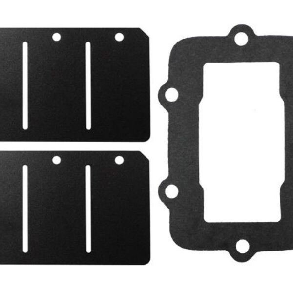 Sno-X Reed valve repair kit, Ski-Doo