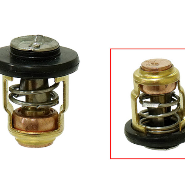 Sea-X thermostat 60°C/140°F Yamaha