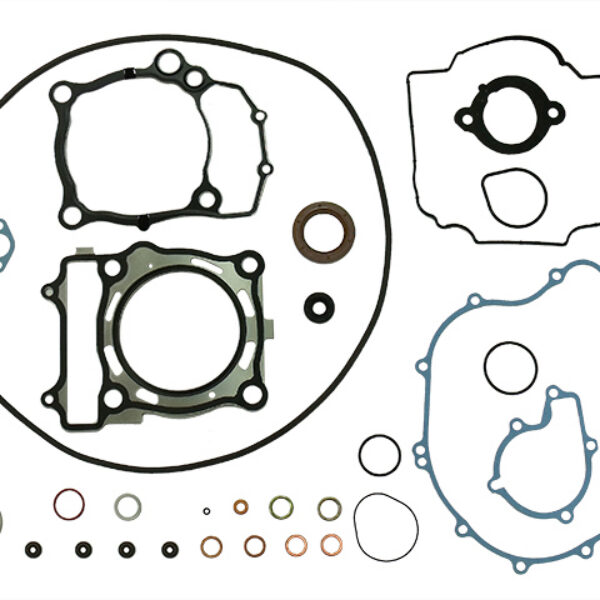 Complete Gasket kit Polaris 550